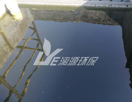 化工污水處理的污泥脫水技術(shù)有哪些？