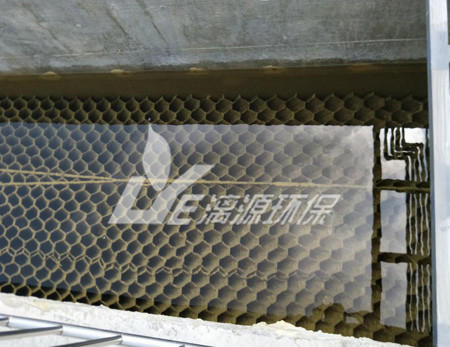 畜禽養(yǎng)殖業(yè)廢水對環(huán)境的危害有哪些呢？