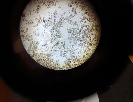 活性污泥老化如何辨別？應(yīng)采取什么措施應(yīng)對？